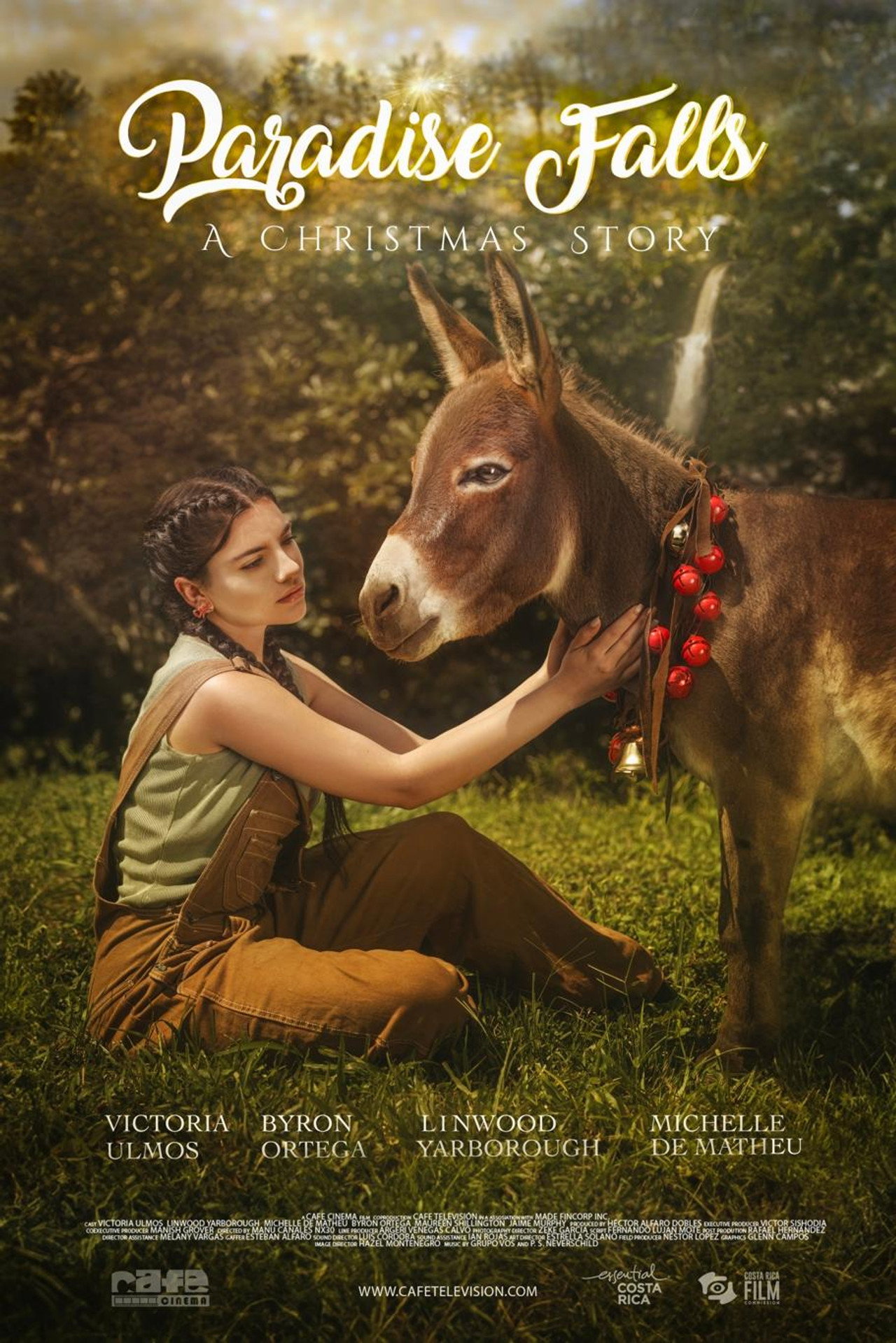 Paradise Falls: A Christmas Story