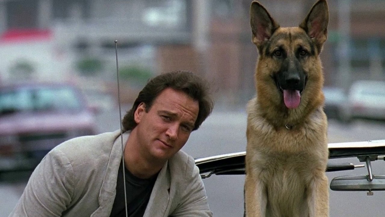 K-9