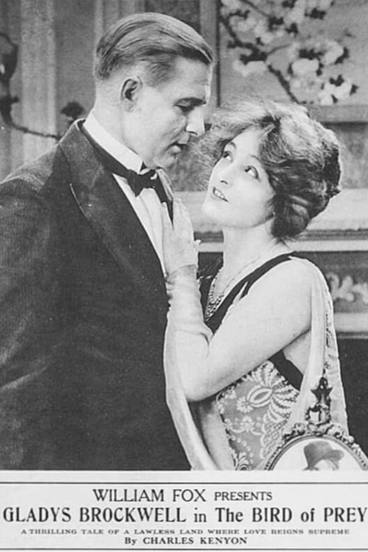 The Bird of Prey Backdrop