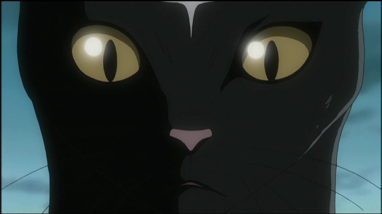 D.Gray-man - Season 1 Episode 50 : Feelings of Devotion