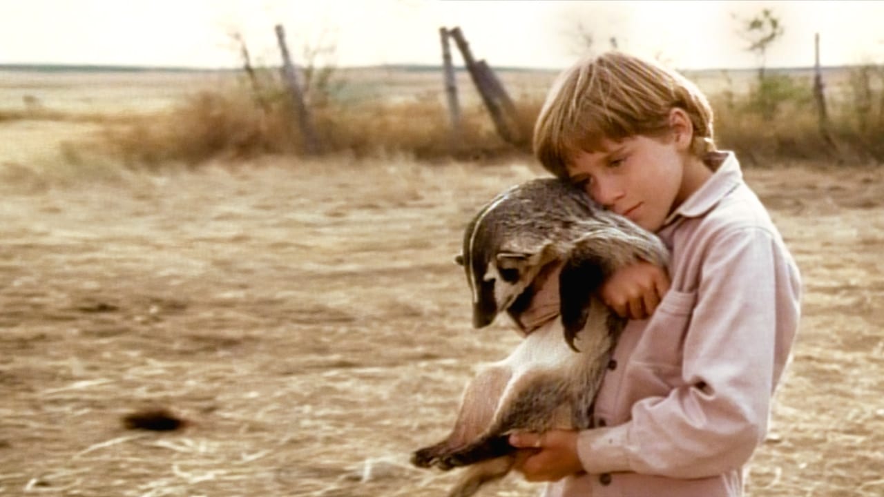 Scen från The Boy Who Talked to Badgers