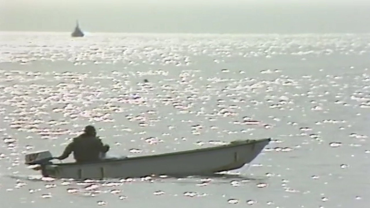 Phantom Lady backdrop