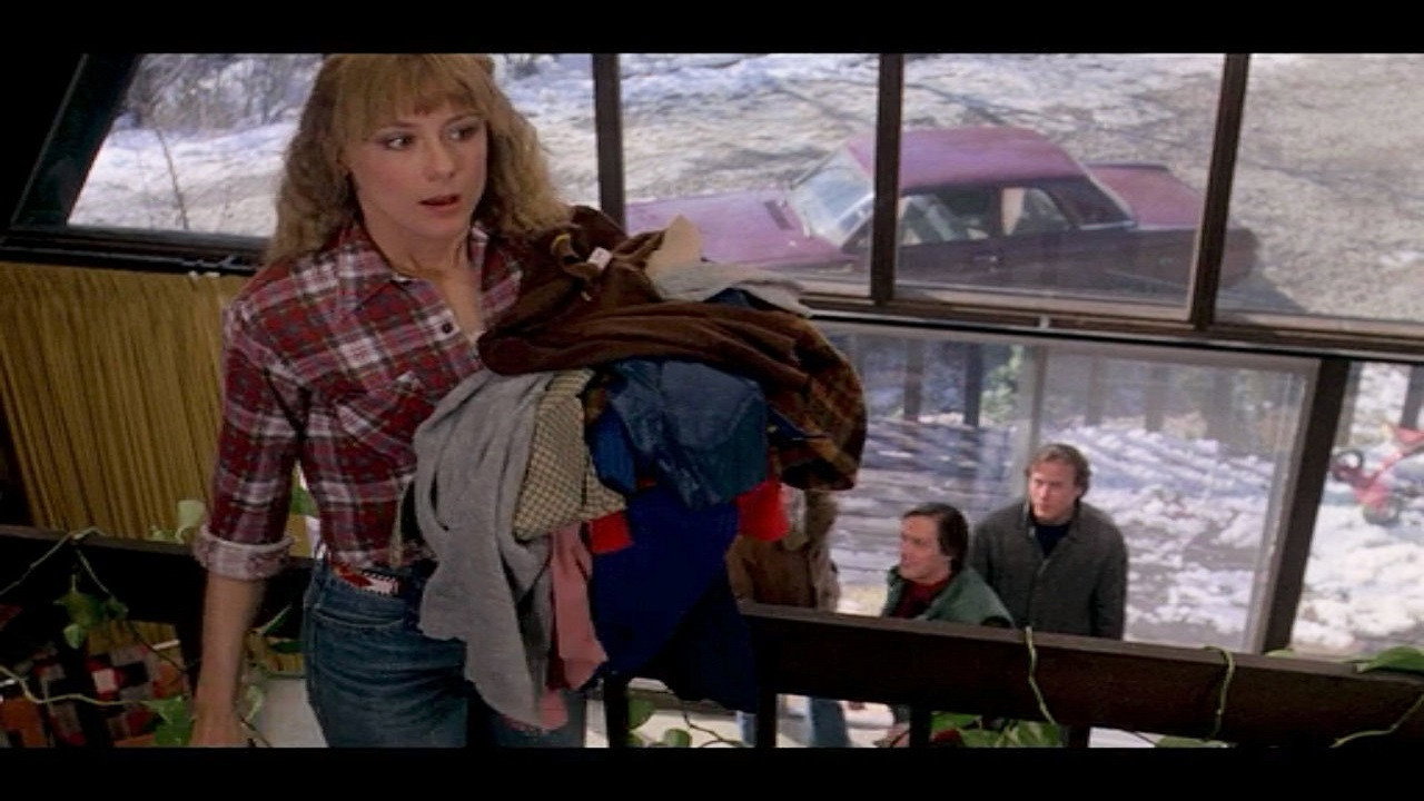 Chilly Scenes of Winter (1979)