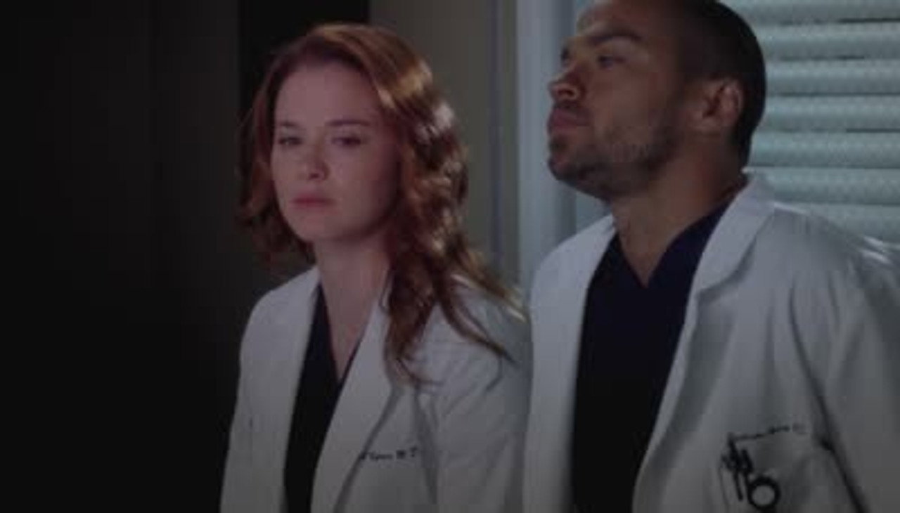 Temporada 9 De Anatomia De Grey