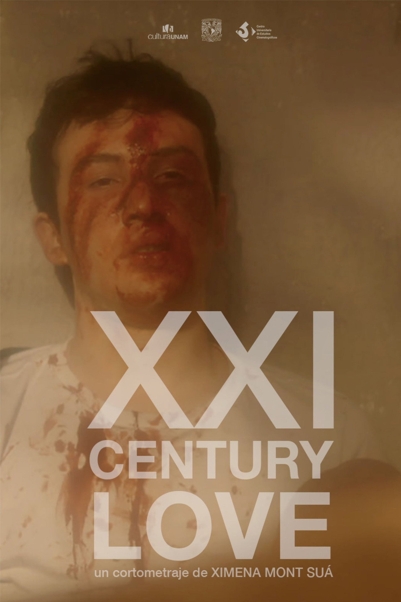 XXI Century Love filmaffisch