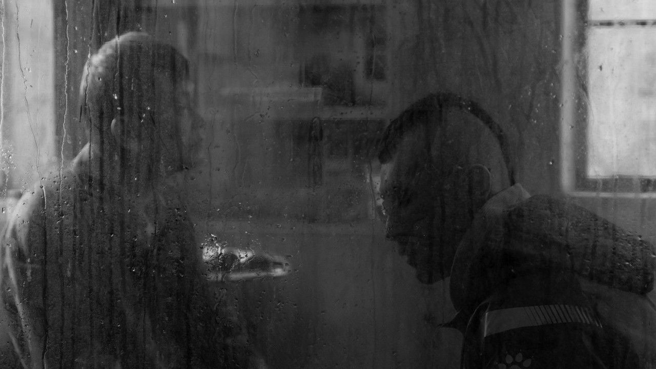 Treatise on Cold Pathogenic Diseases backdrop