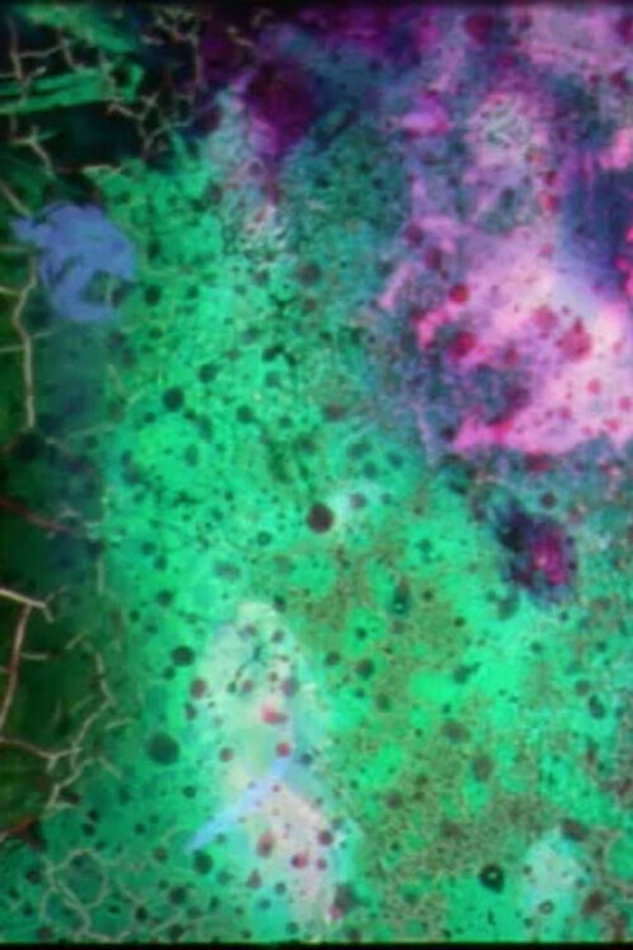 An Optical Printer Duet filmaffisch