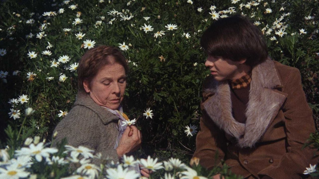 Harold and Maude (1971)