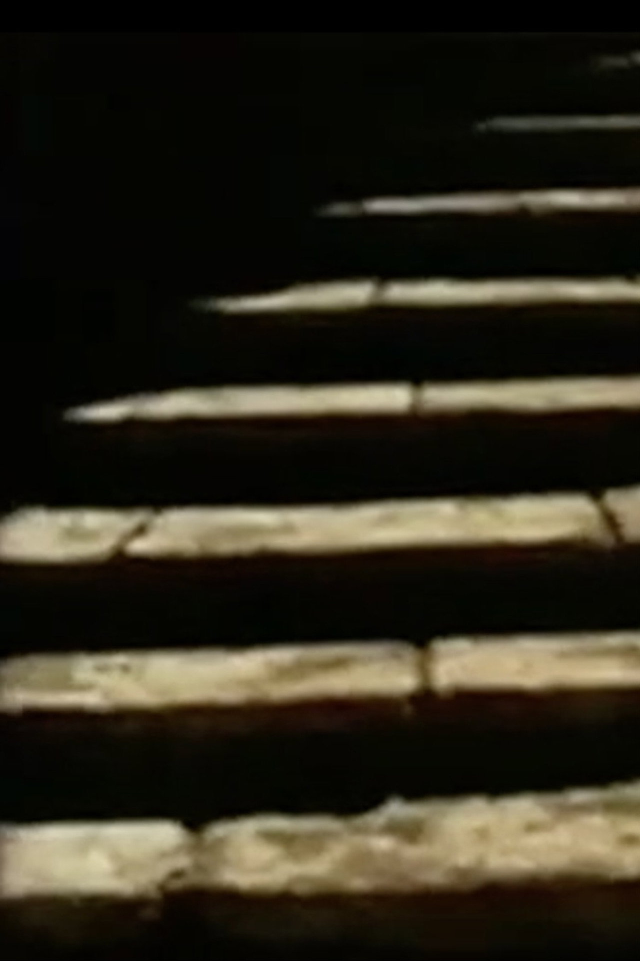 Filmtagebuch 2004 filmaffisch