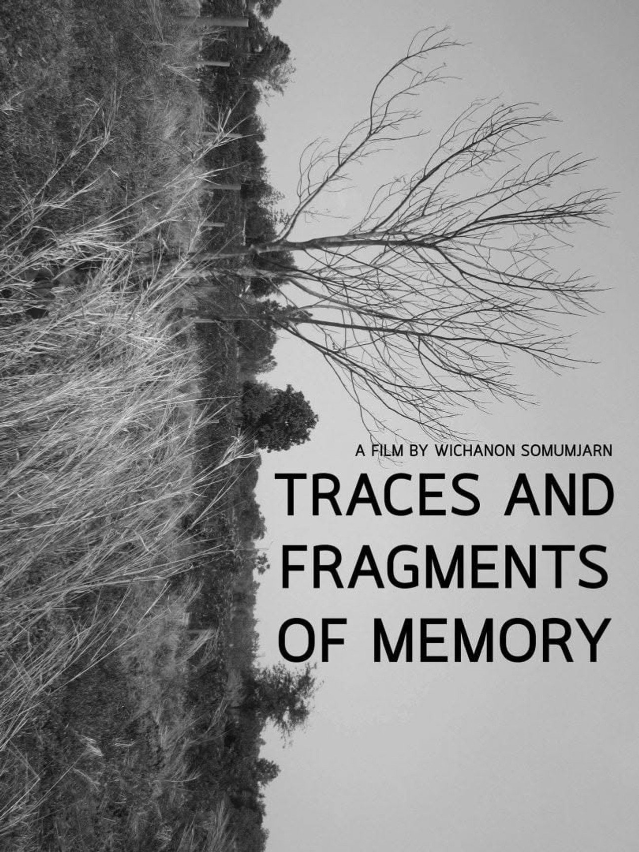 Traces and Fragments of Memory filmaffisch