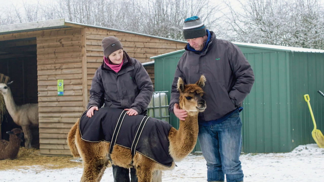 Frontline Fightback — Épisode 4