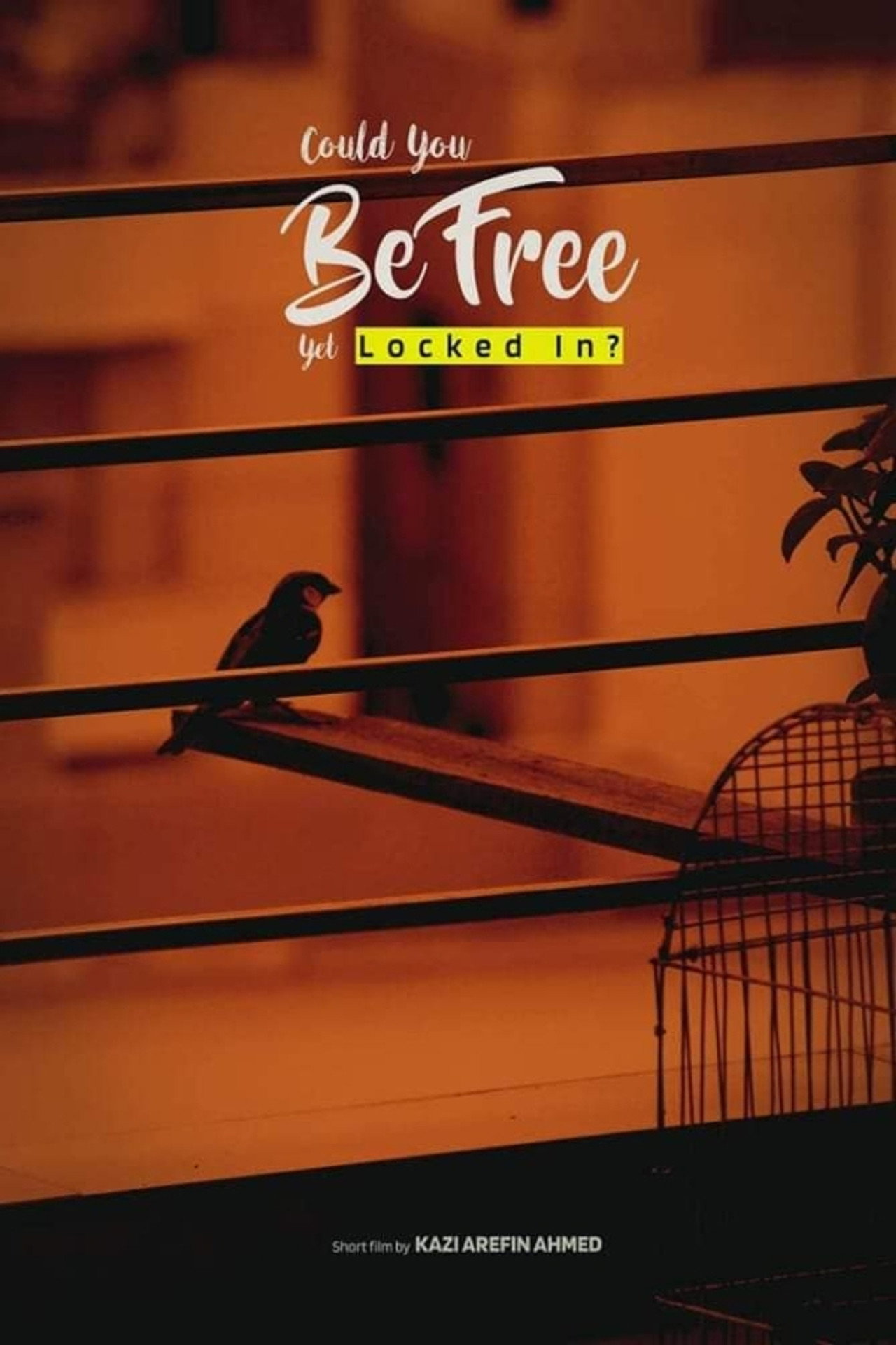 Could You Be Free Yet Locked In?