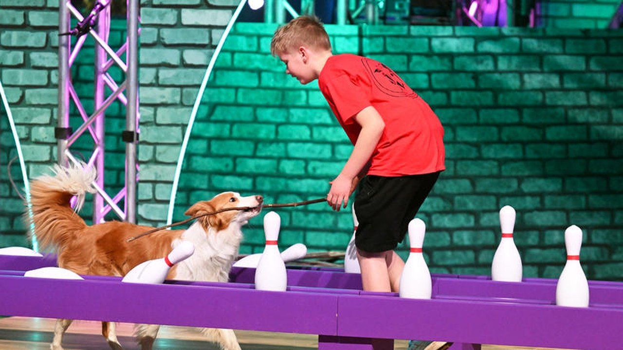 Top Dog Germany – Der beste Hund Deutschlands - Season 2 Episode 3 : Episode 3