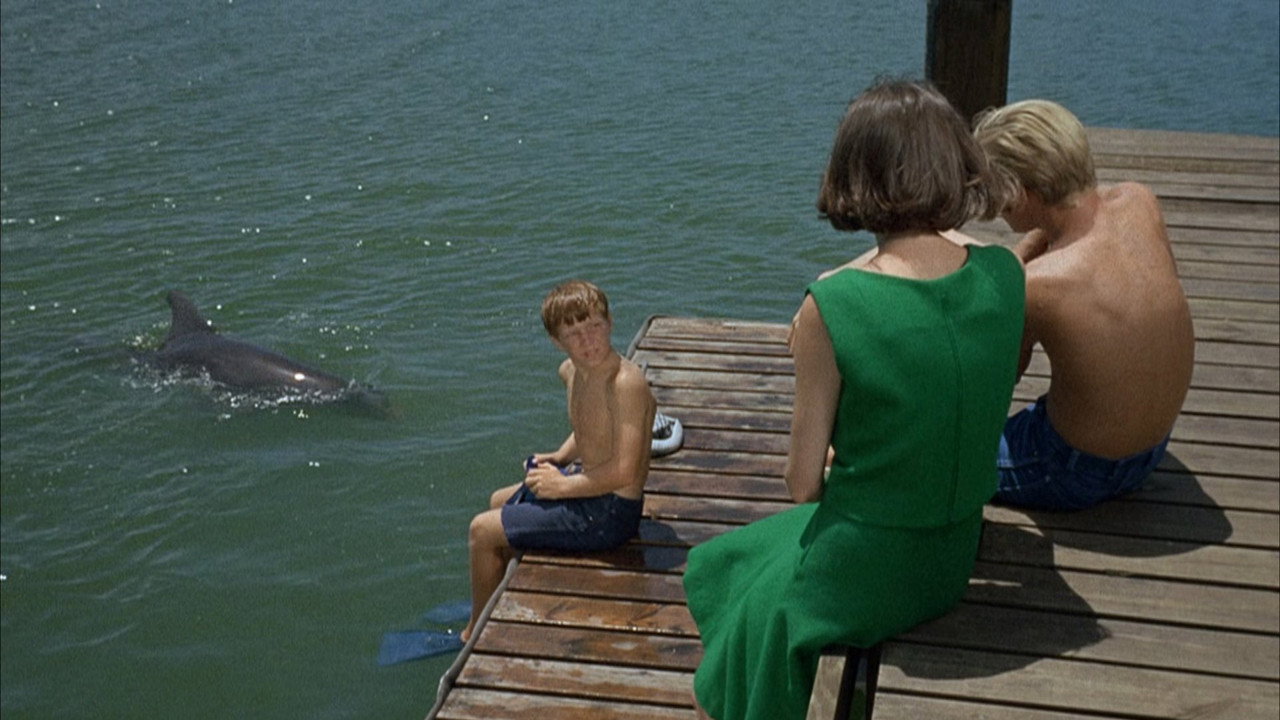 Flipper backdrop