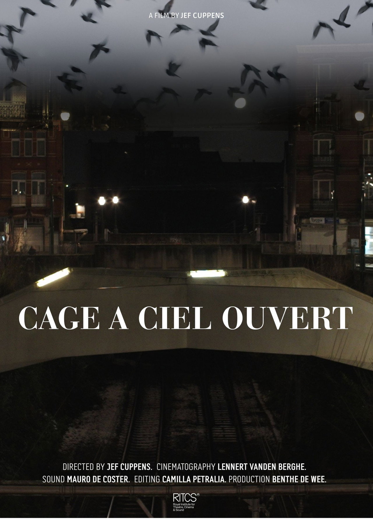 Cage À Ciel Ouvert filmaffisch