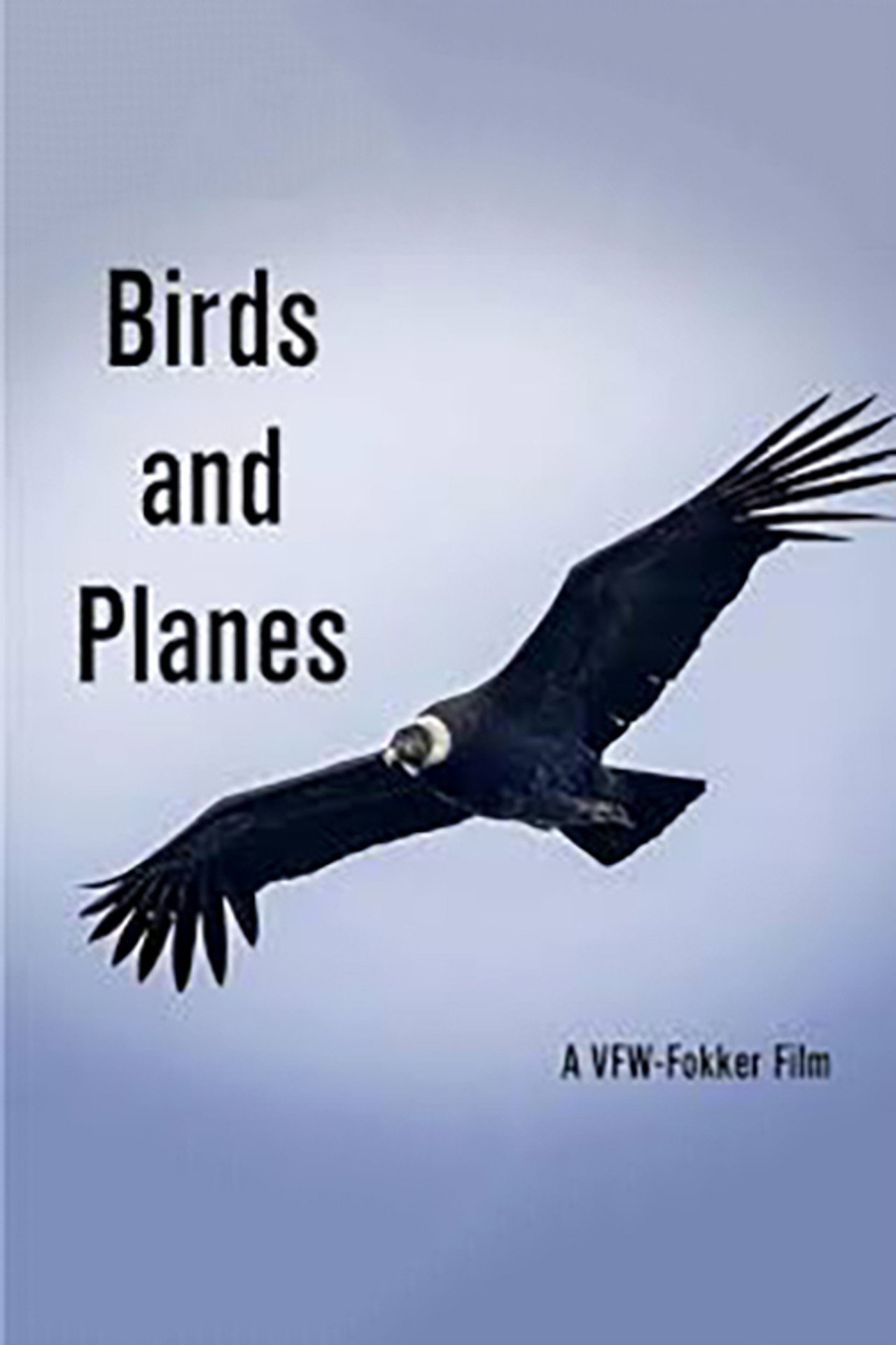 Birds and Planes filmaffisch