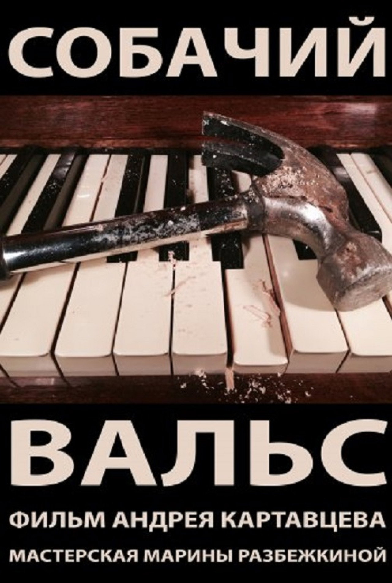 Собачий вальс filmaffisch
