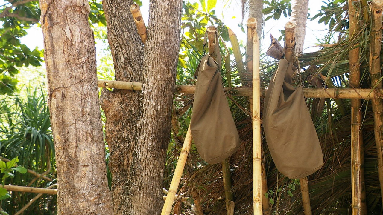 Robinson - Season 25 Episode 22 : Episode 22