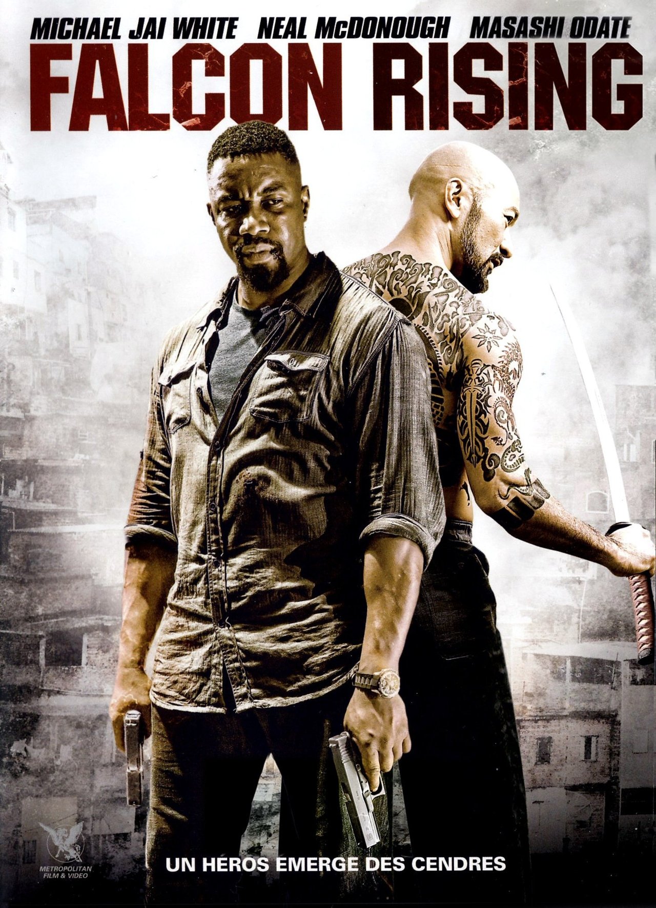 Falcon Rising poster