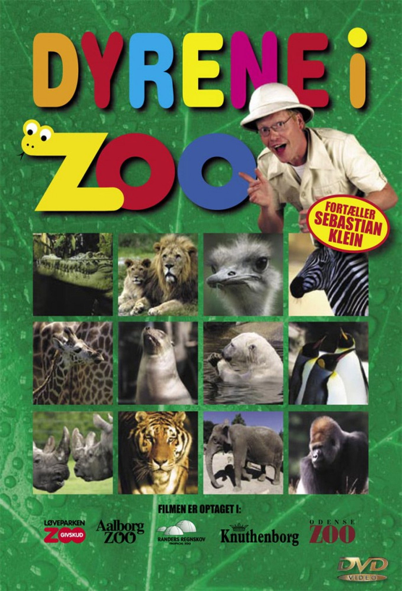 Animals in Zoo Backdrop