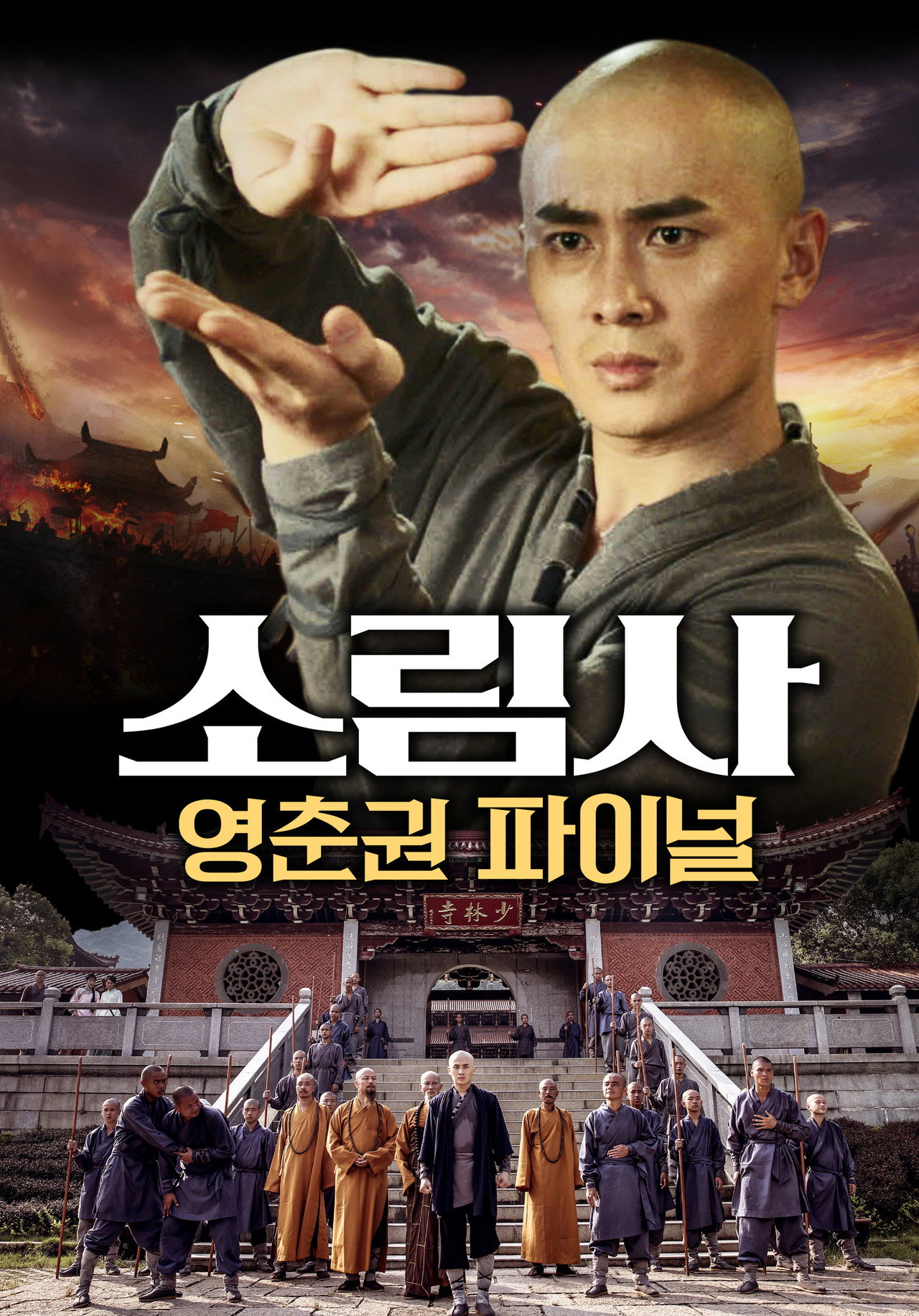 南少林永春拳之突破重围 filmaffisch