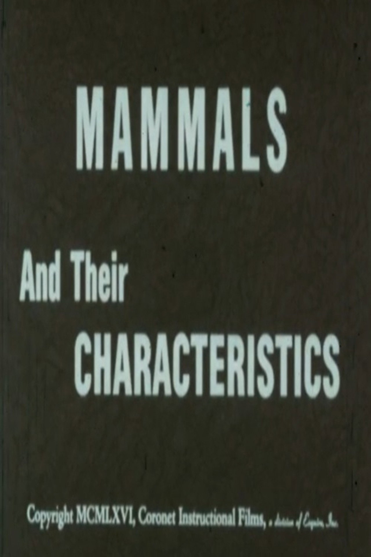 Mammals and Their Characteristics poster