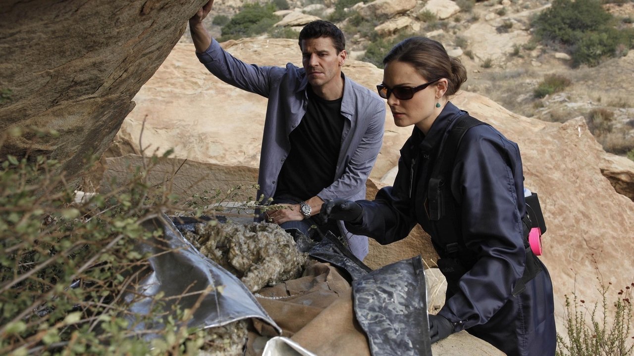 Bones - Season 5 Episode 11 : The X in the File