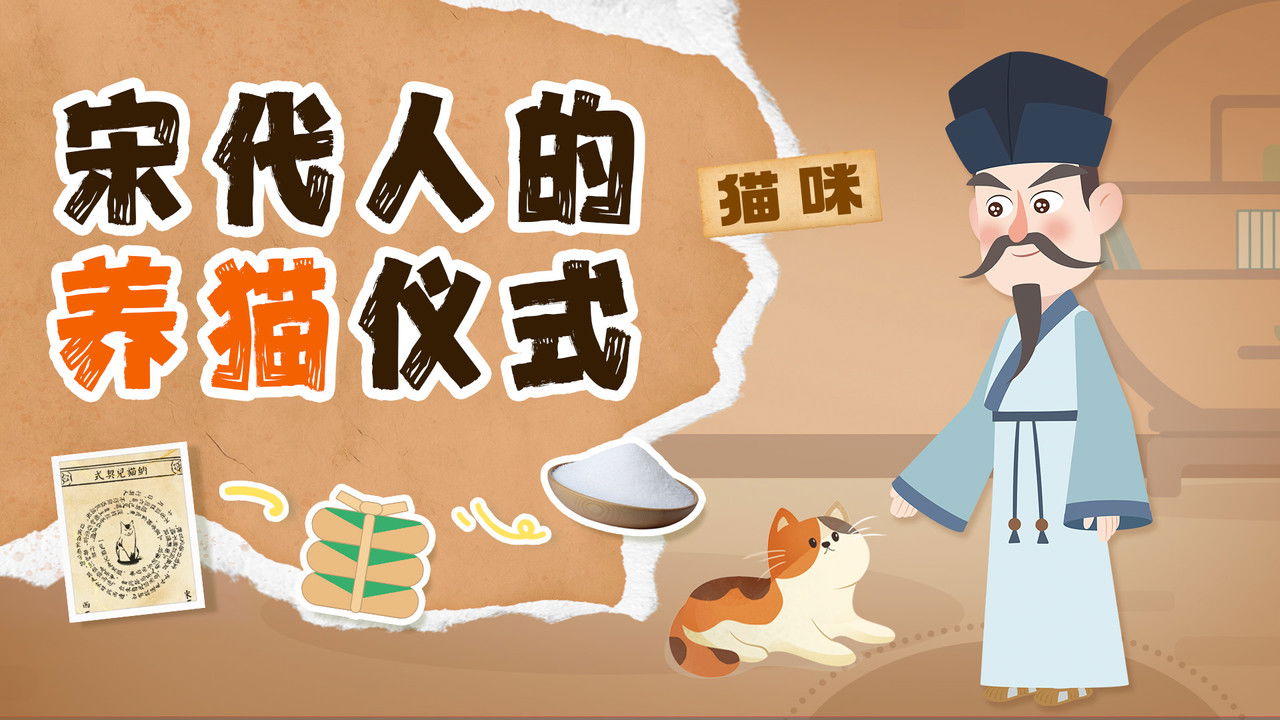 斑马百科探索 — Épisode 11