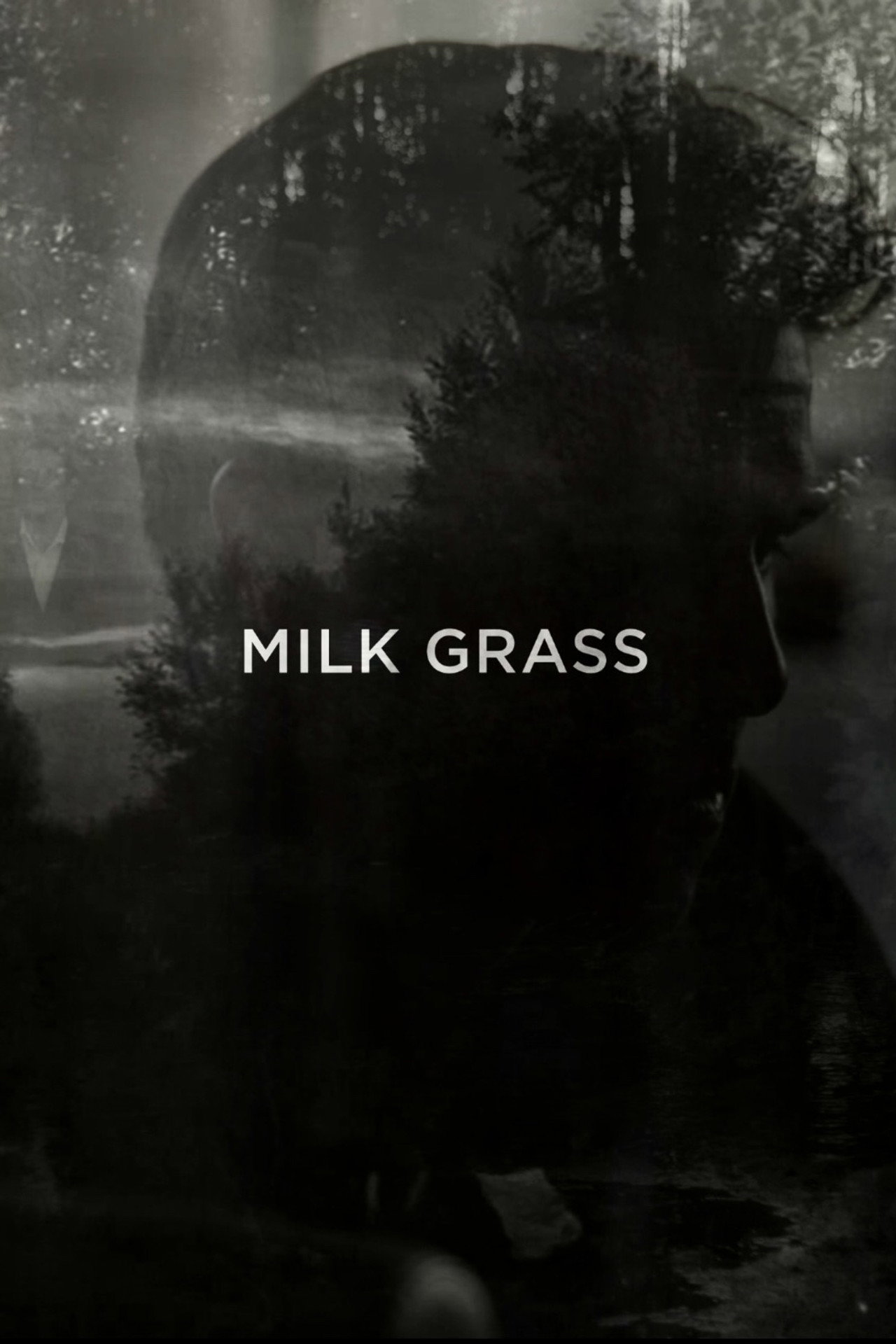 Milk Grass