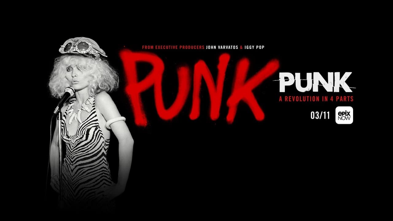 The True Story of Punk background