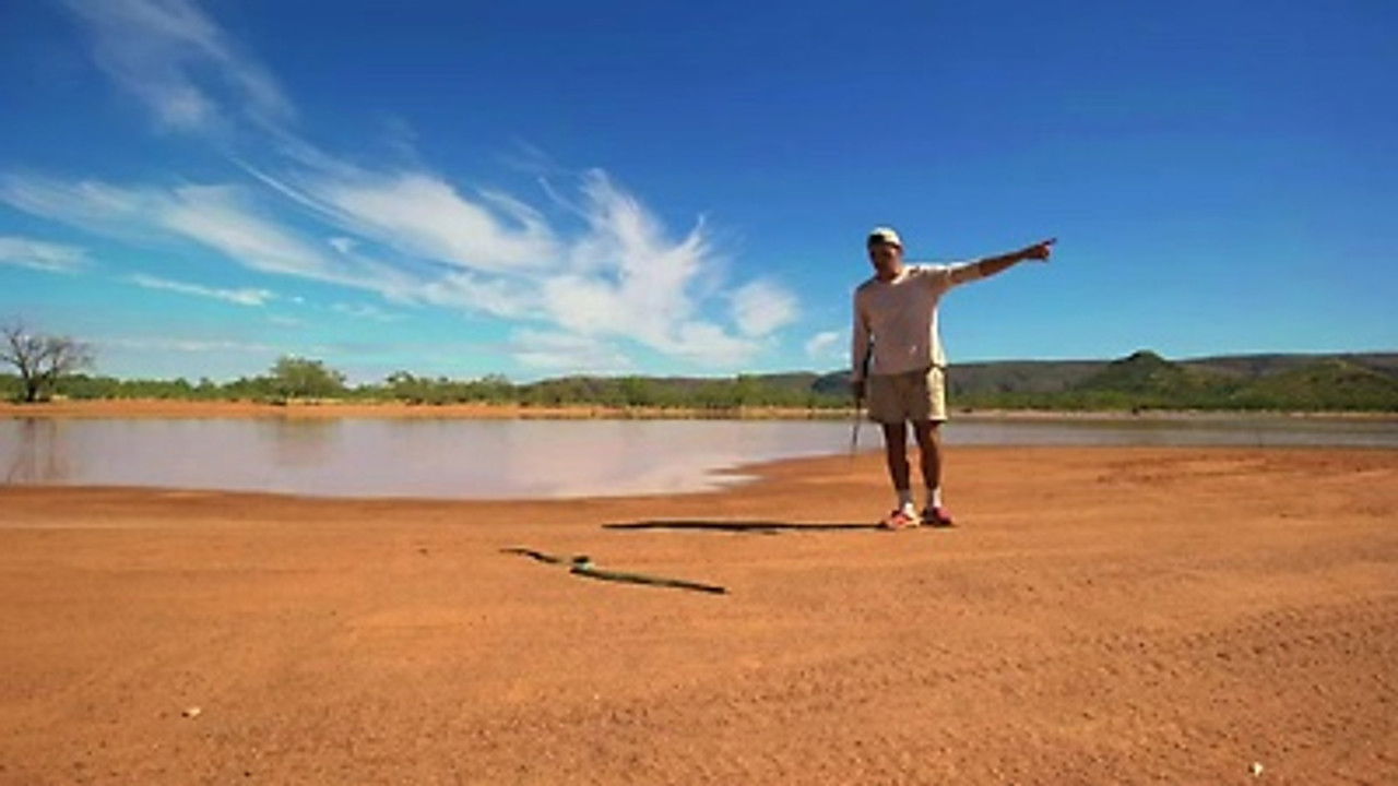 Wild Frank — Épisode 4