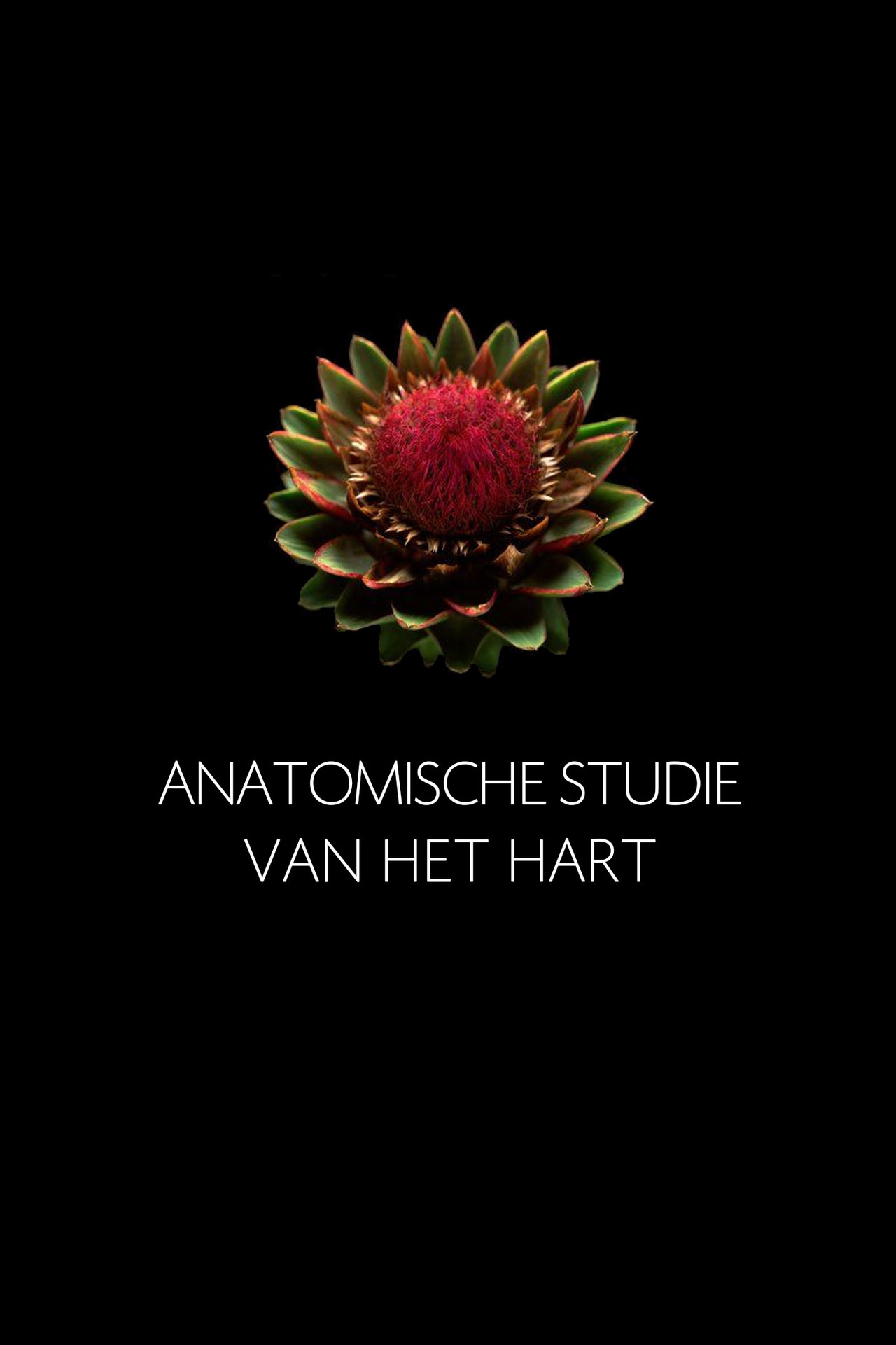 Anatomische Studie van het Hart filmaffisch