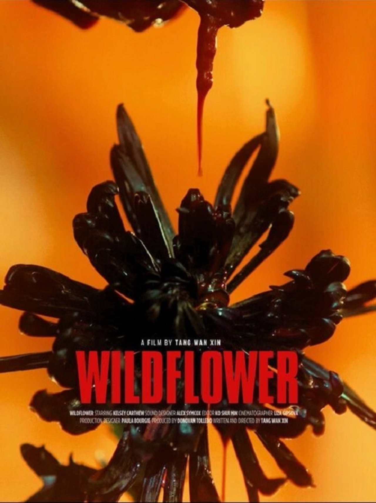 Wildflower filmaffisch