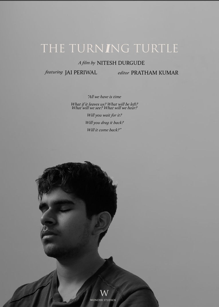 The Turning Turtle poster