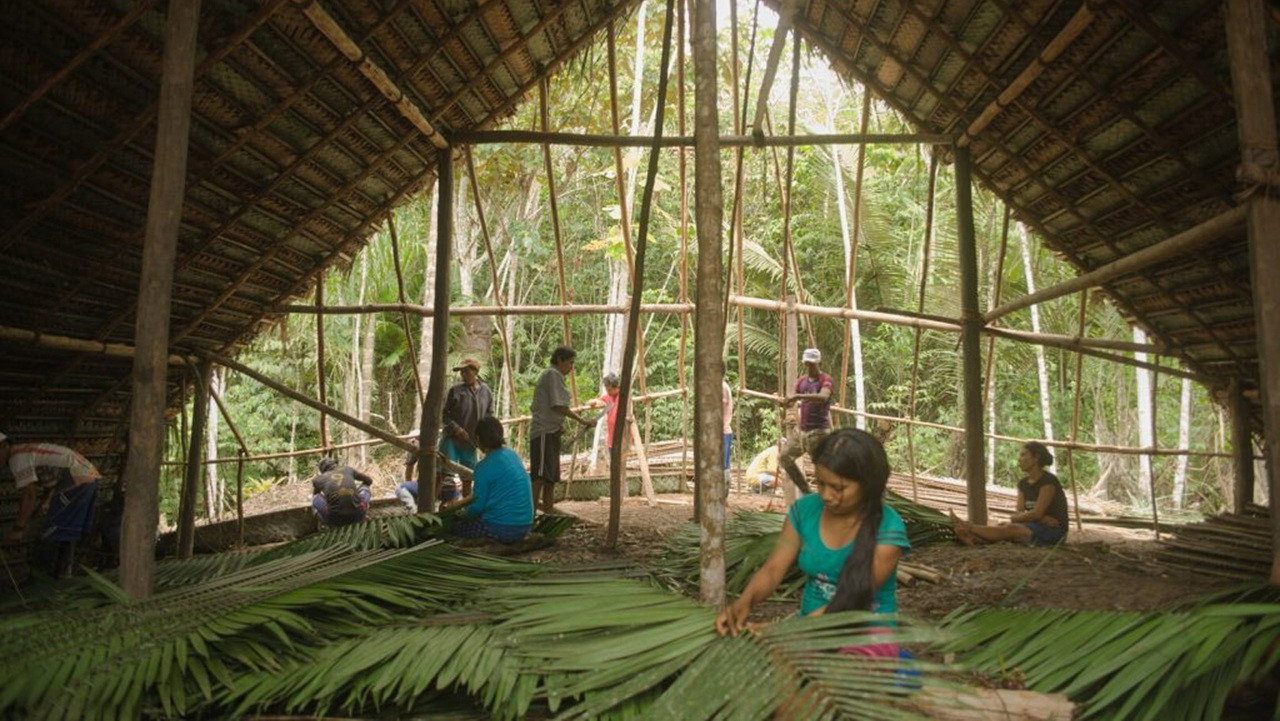 The Maloca Of The Matsés