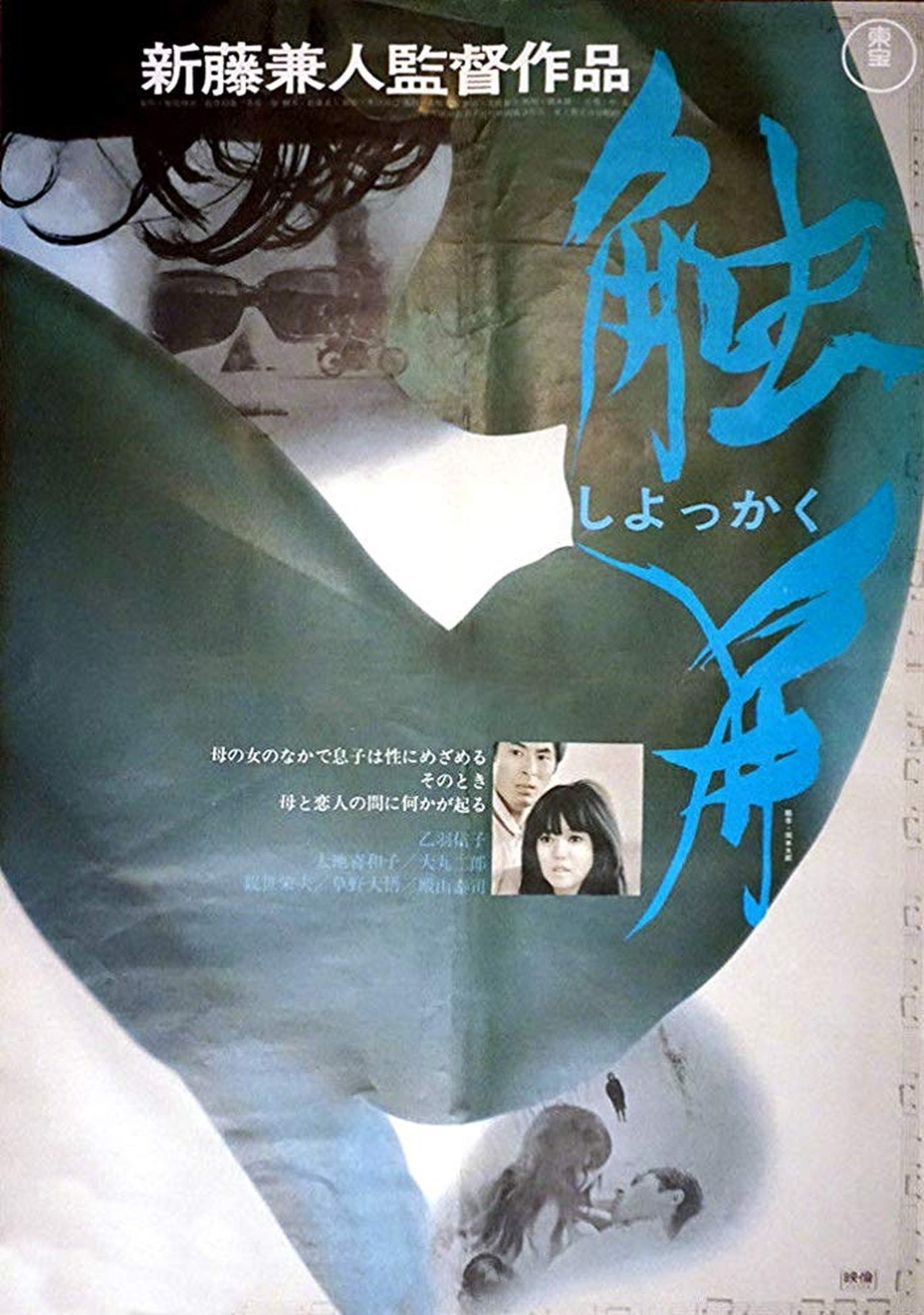 触角 触角