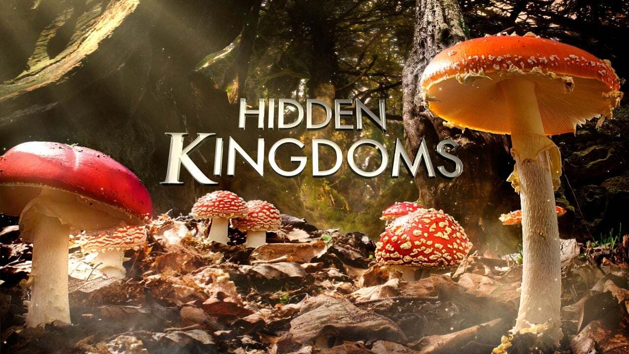 Hidden Kingdoms - Im Königreich der kleinen Tiere background