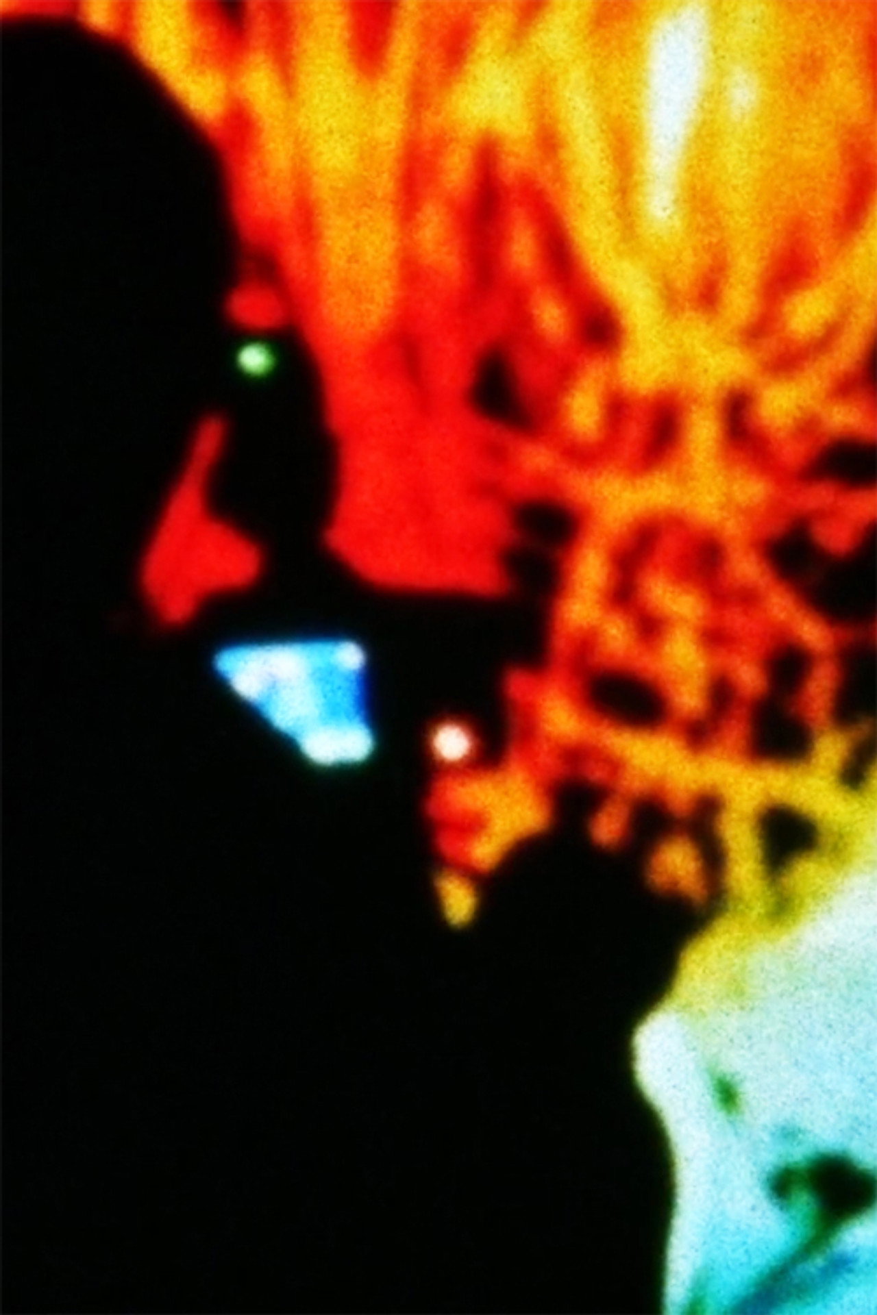 Rhizomatic Directed Simulation