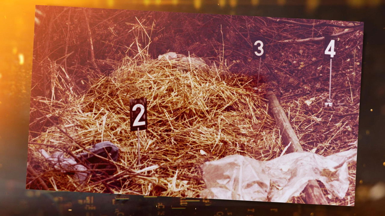 Ermittler! — Épisode 20