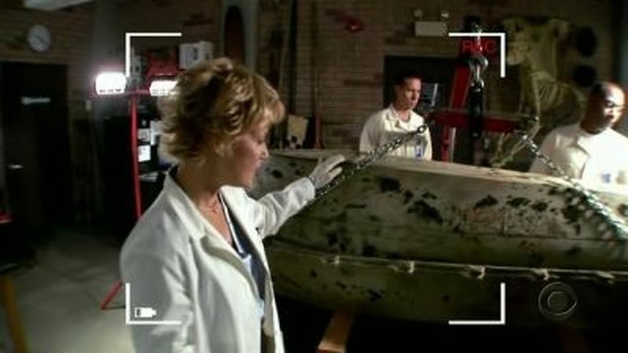 NCIS - Season 3 Episode 4 : Silver War