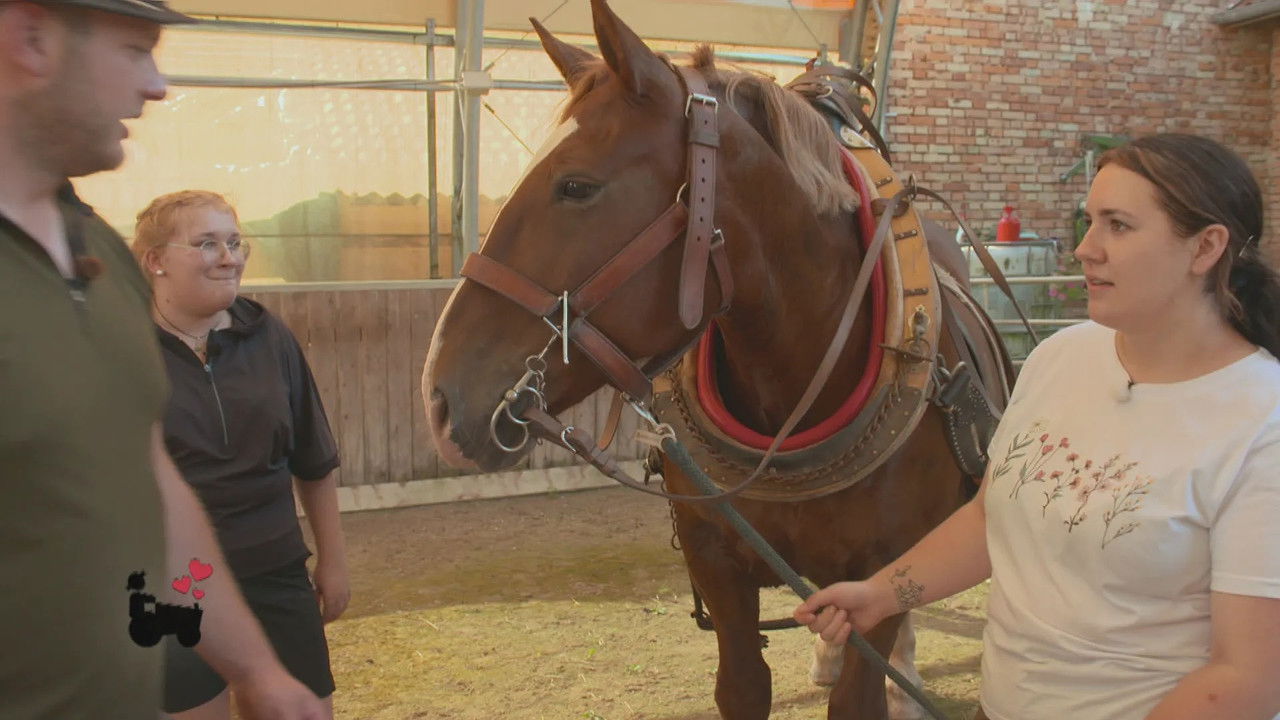 Bauer sucht Frau — Épisode 12