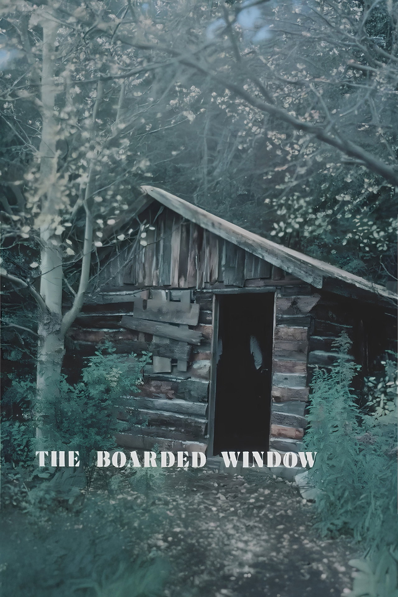 The Boarded Window
