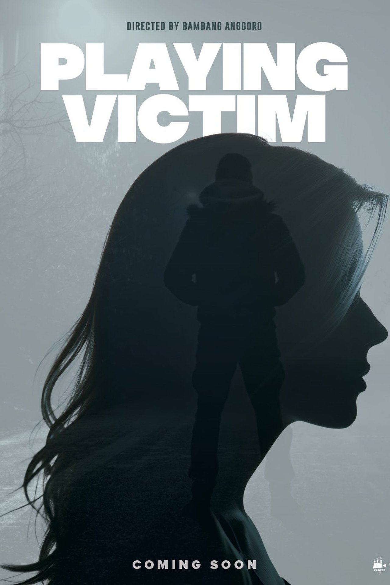 Playing Victim poster
