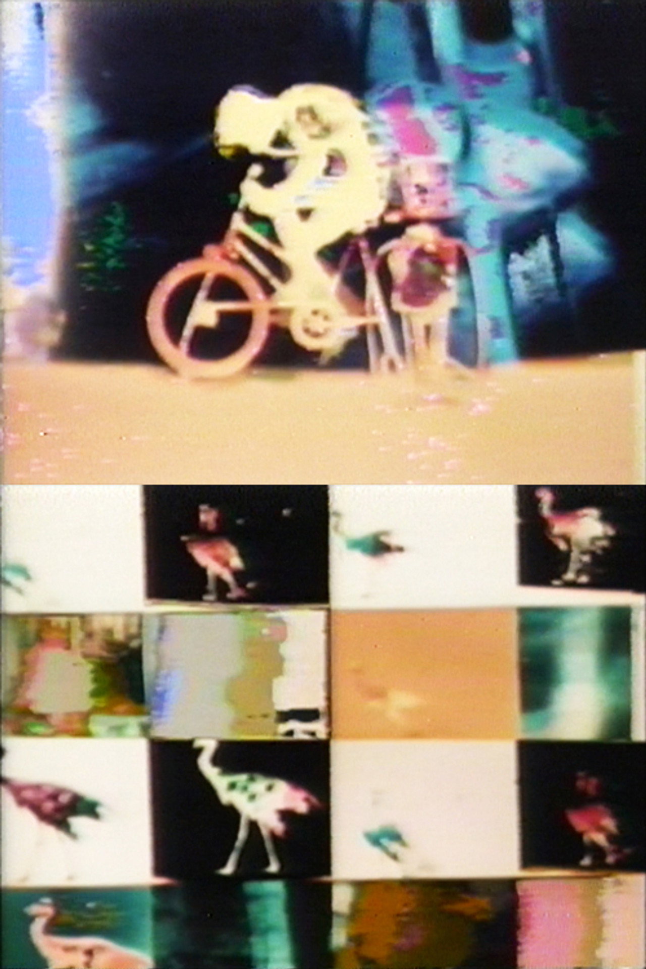 生物的サイクル No.3 filmaffisch