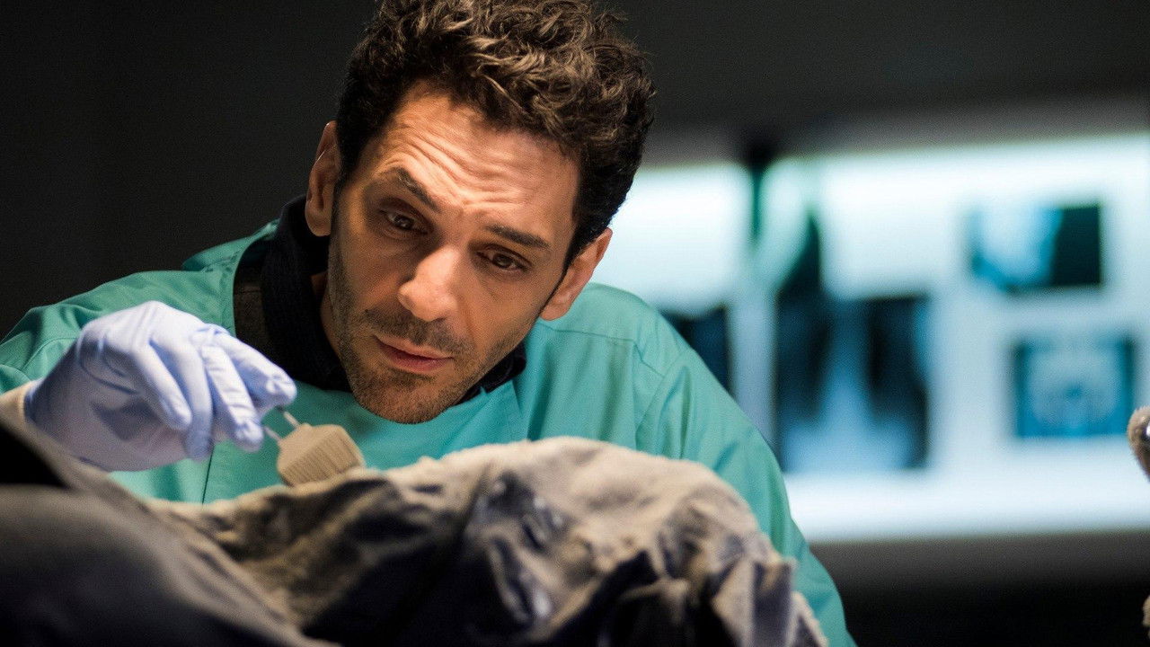 Balthazar — Paradis perdu