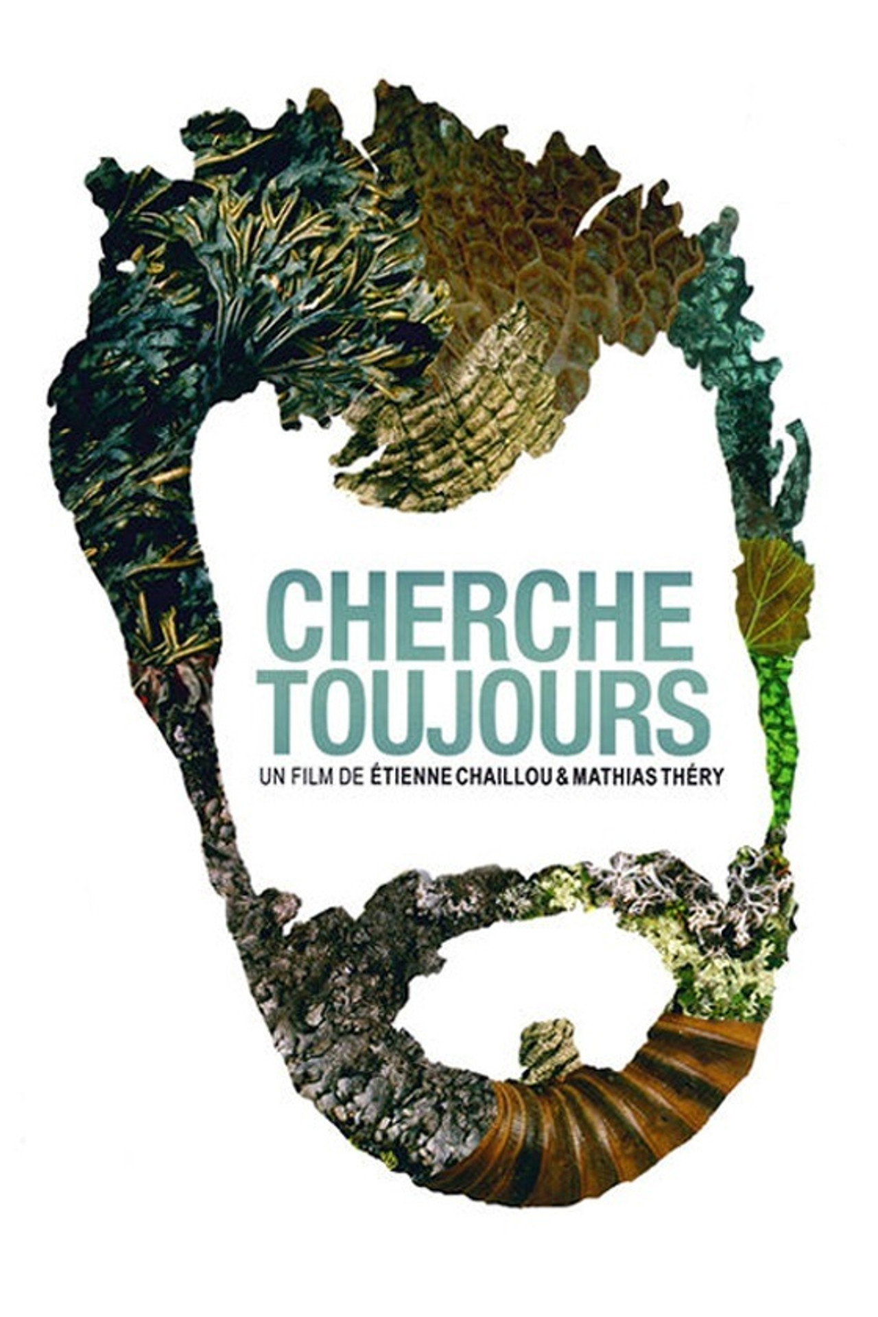 Cherche toujours filmaffisch