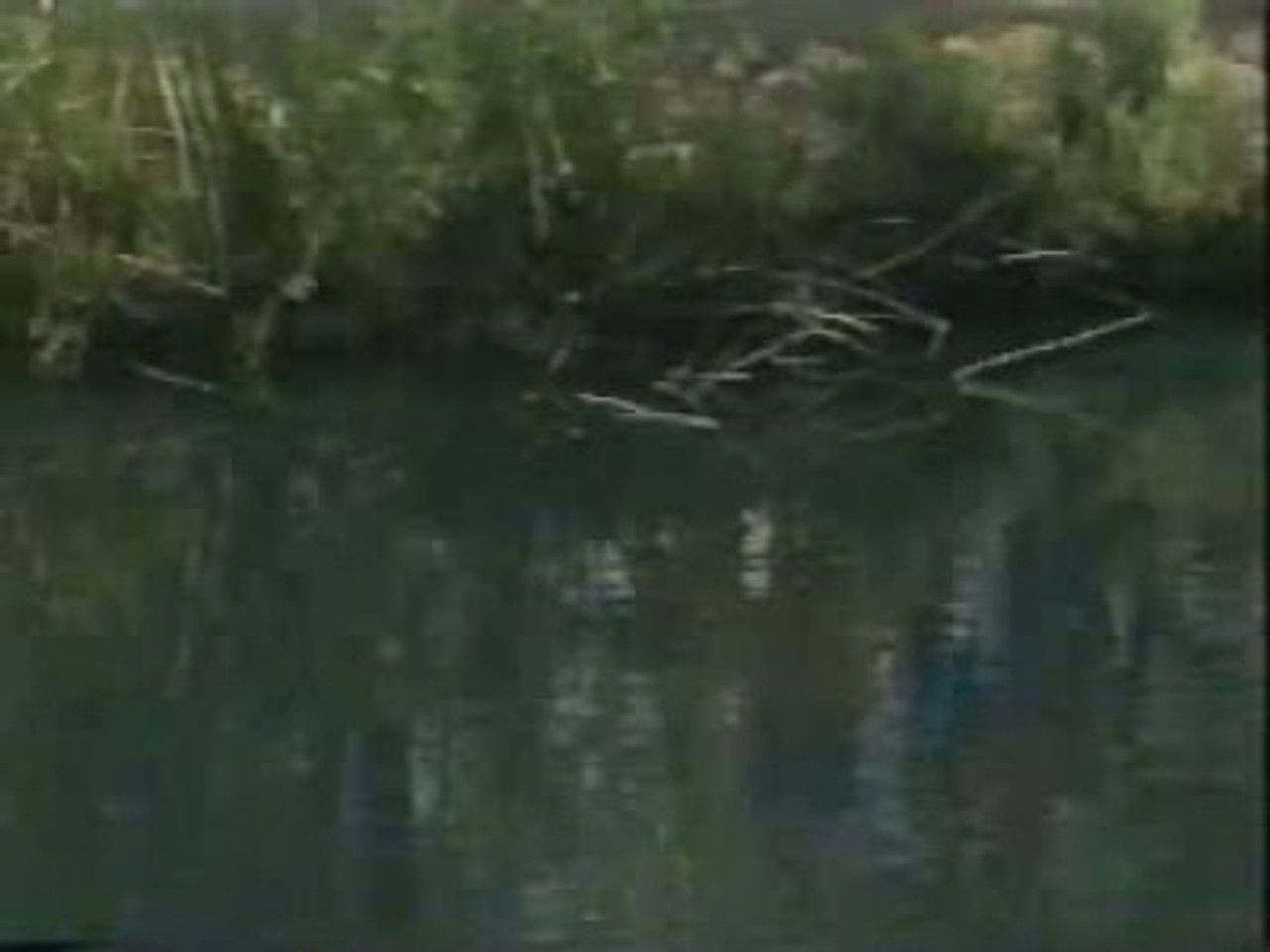 Hey Dude — Épisode 11