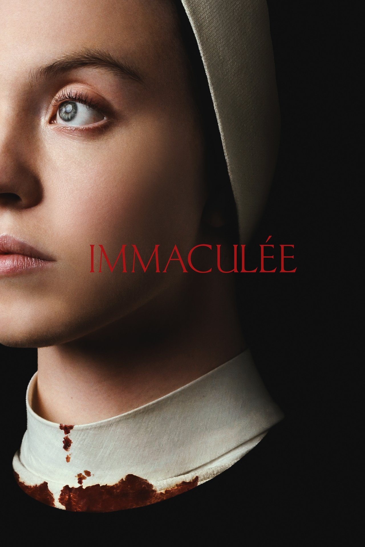 Immaculée poster