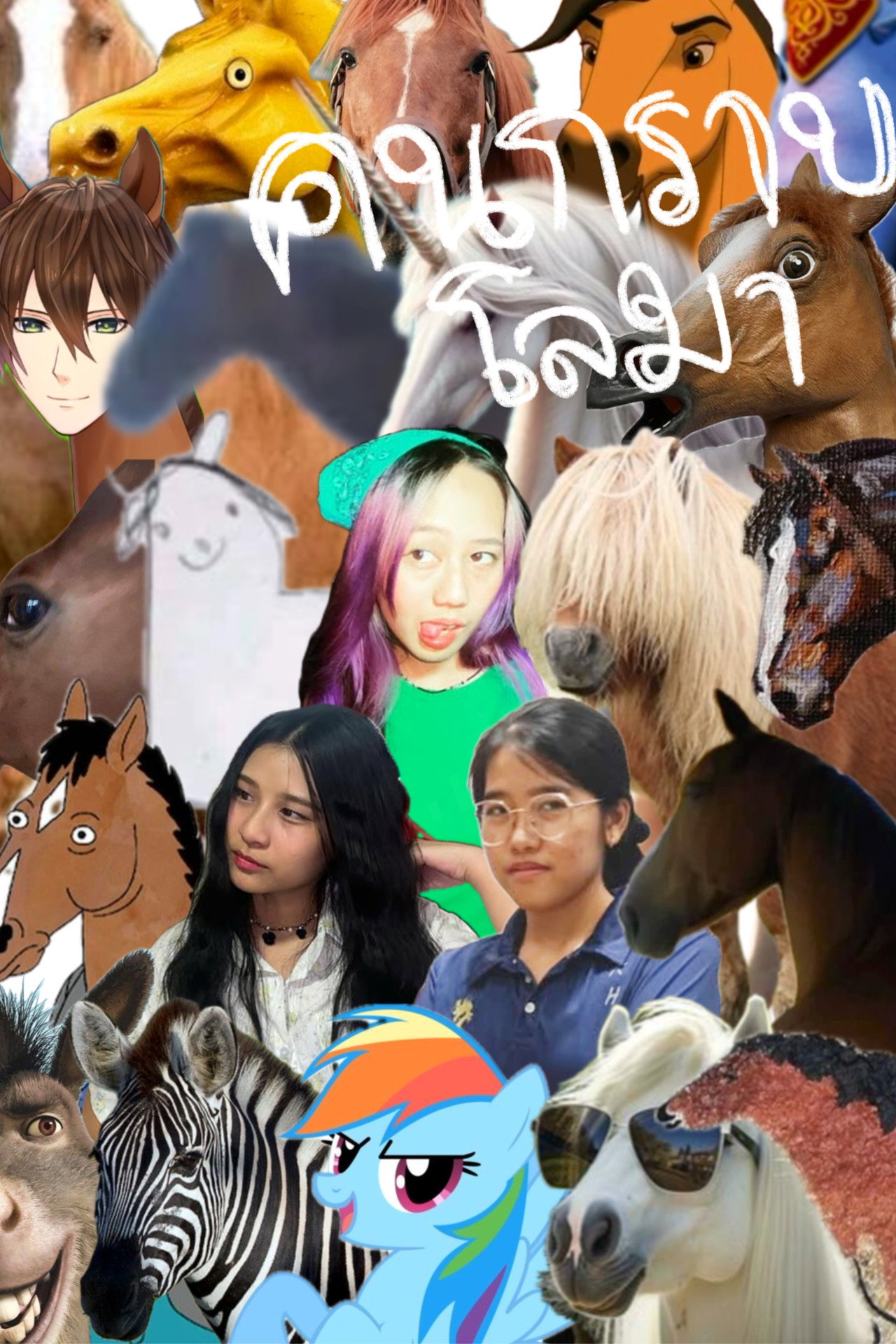 คนกราบโลมา filmaffisch