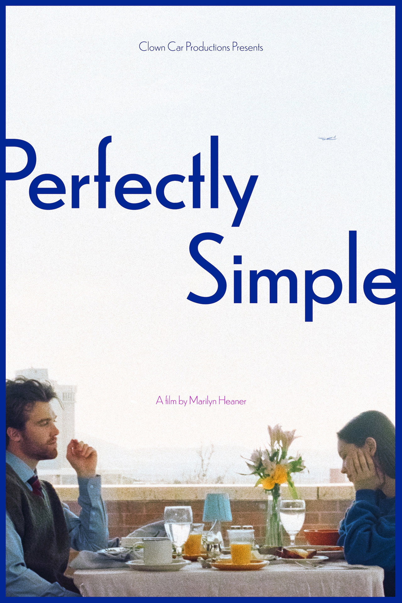 Perfectly Simple filmaffisch